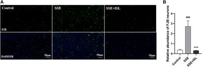 Isoliquiritigenin Alleviates Semen Strychni-Induced Neurotoxicity by Restoring the Metabolic Pathway of Neurotransmitters in Rats